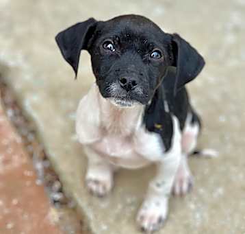 Photo of Oaklee