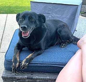 Photo of Flynn