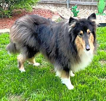 Photo of Star