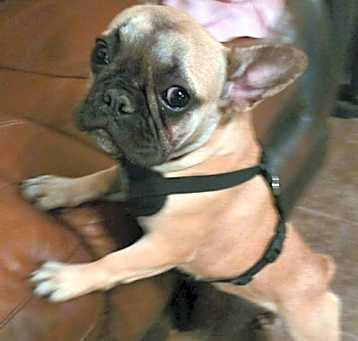 Photo of Chloe