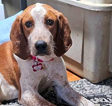 Photo of Mabel