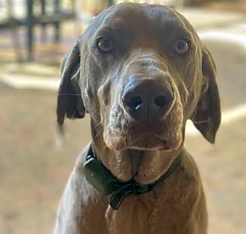 Photo of Zeus