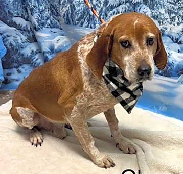 Photo of Chase