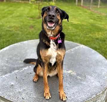 Photo of Duchess