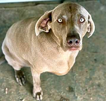 Photo of Hera