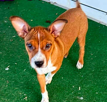 Photo of Clyde Baby