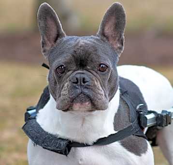 Photo of Margo