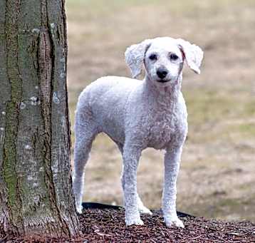 Photo of Teyha