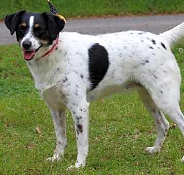 Photo of Dawn 40722
