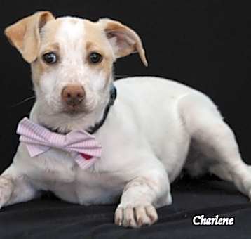Photo of Addie