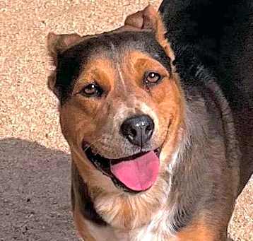 Photo of CECE