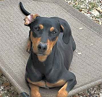 Photo of ZEUS