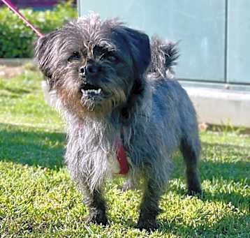 Photo of Ares