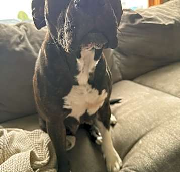 Photo of Baby