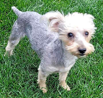 Photo of Jingle