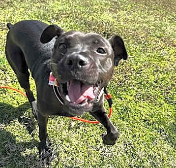 Photo of Hope