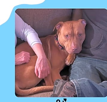 Photo of Jasper