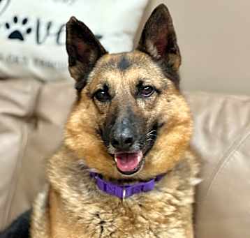 Photo of Pinot / Mandy