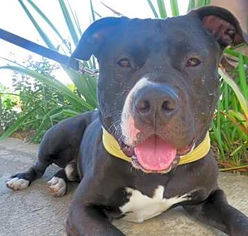 Photo of Tank