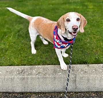 Photo of Mowgi