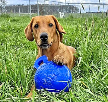 Photo of Hazel