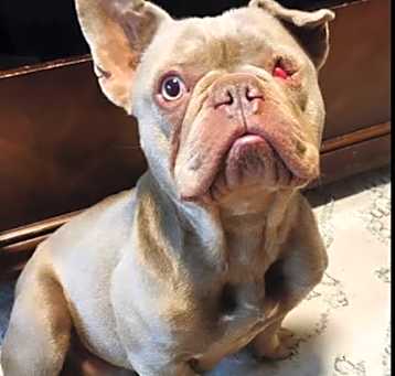 Photo of Sosa