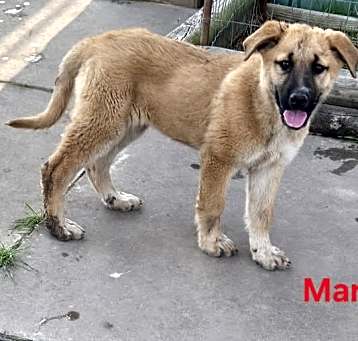 Photo of Marcy