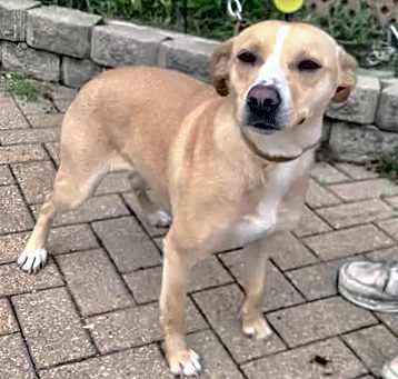 Photo of Ilena