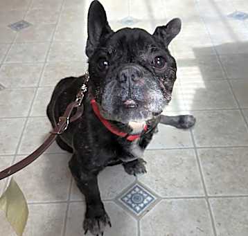 Photo of Juvie