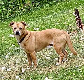 Photo of Duke