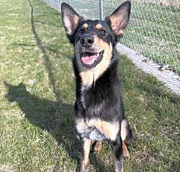 Photo of Bella