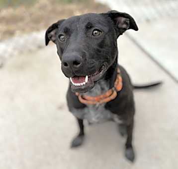 Photo of Mabel