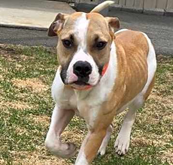 Photo of LOLA