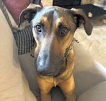 Photo of Remi