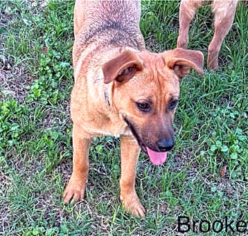 Photo of Brooke KA
