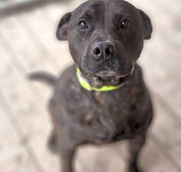 Photo of Baylor
