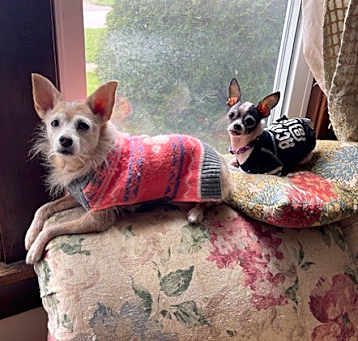 Photo of Dexter & Sophie