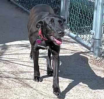 Photo of Annette