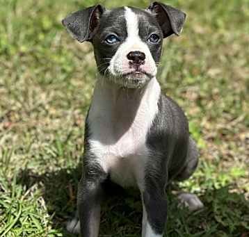 Photo of Lila