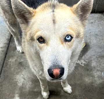 Photo of Naru
