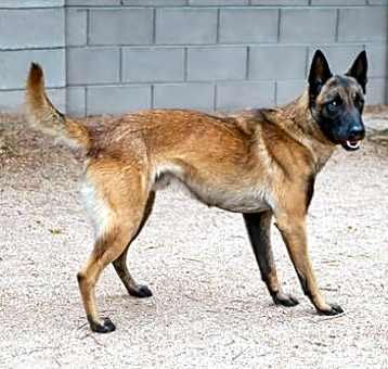 Photo of DION