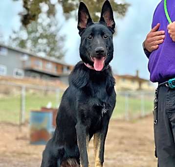 Photo of Echo