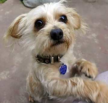 Photo of Lil' Bit aka Fred