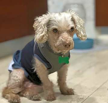 Photo of Lilly