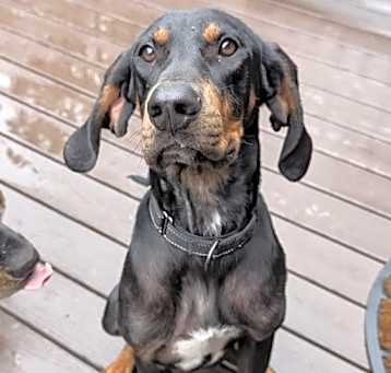 Photo of Luther
