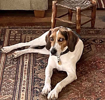 Photo of Walter