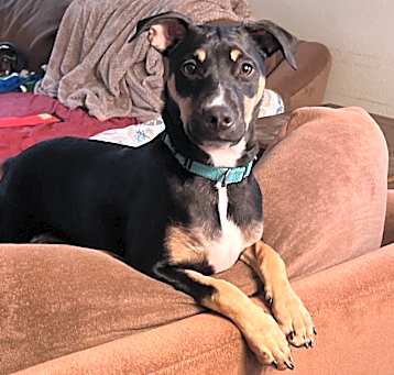 Photo of Tucker 