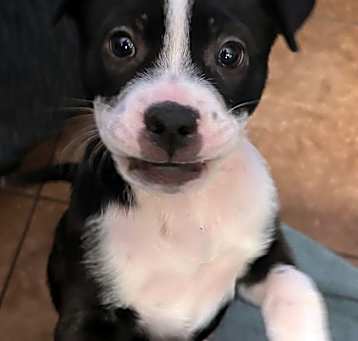 Photo of Lucy