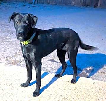 Photo of Junior