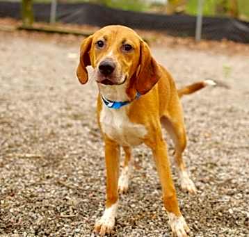 Photo of Silas